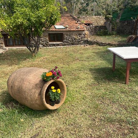 Rural House To Take A Break, La Serreria 25 - Private Garden タコロンテ エクステリア 写真
