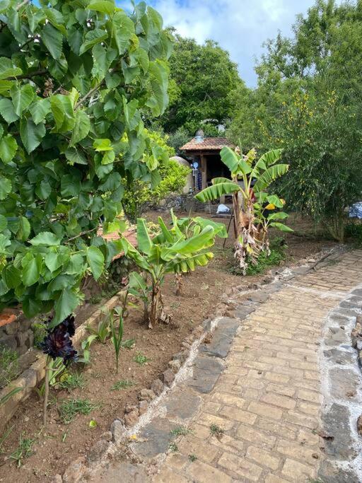 Rural House To Take A Break, La Serreria 25 - Private Garden タコロンテ エクステリア 写真