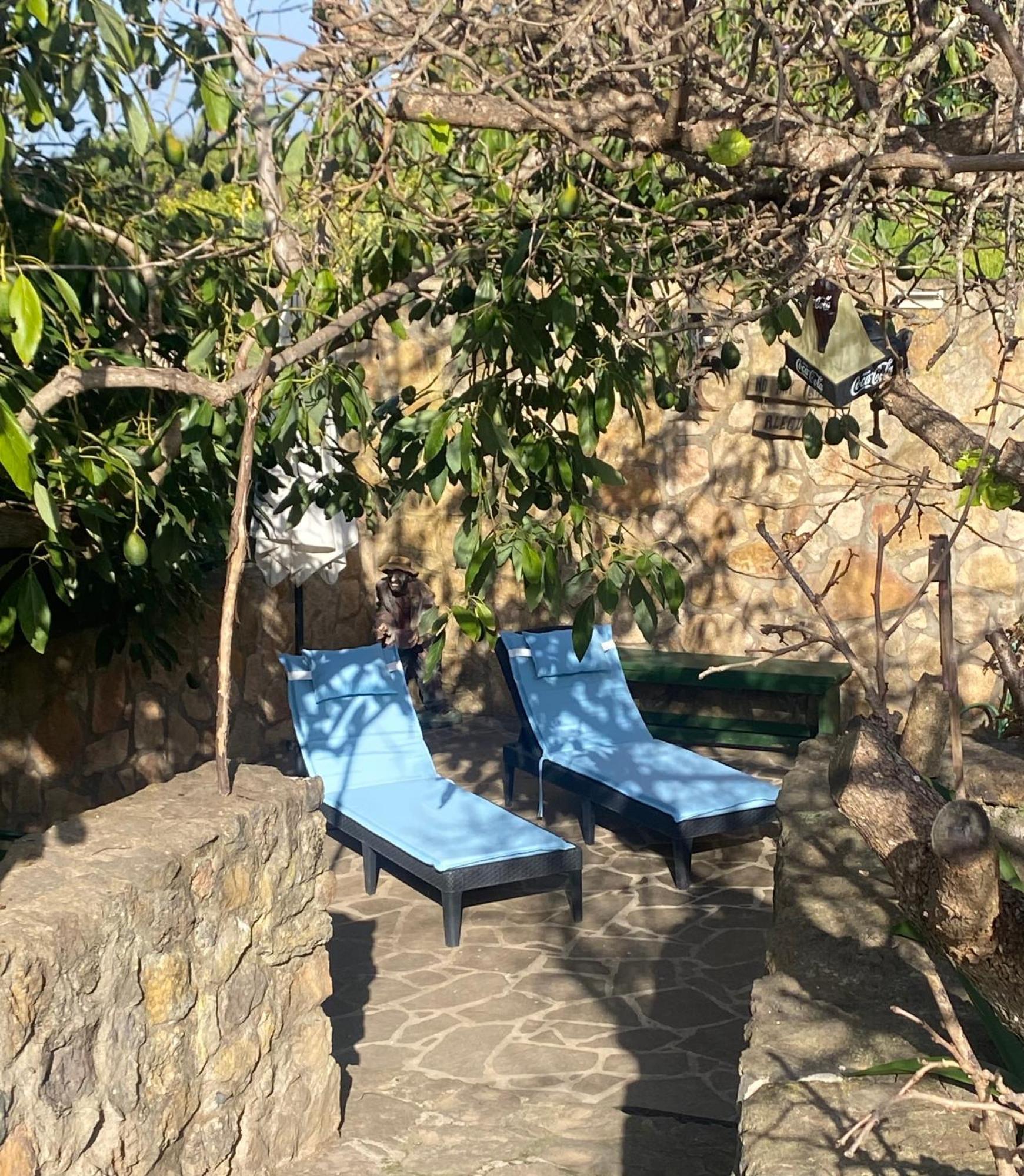 Rural House To Take A Break, La Serreria 25 - Private Garden タコロンテ エクステリア 写真