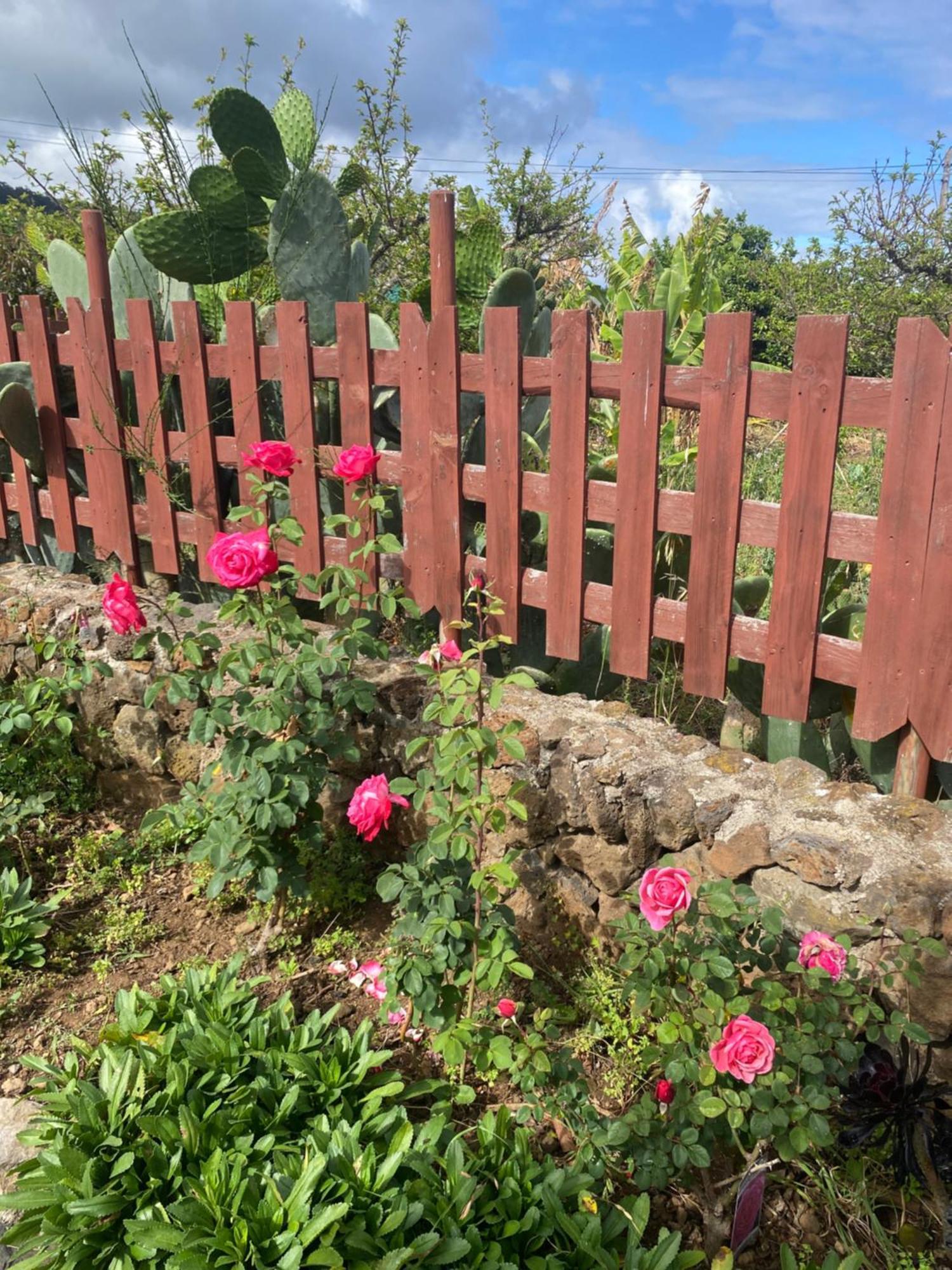 Rural House To Take A Break, La Serreria 25 - Private Garden タコロンテ エクステリア 写真