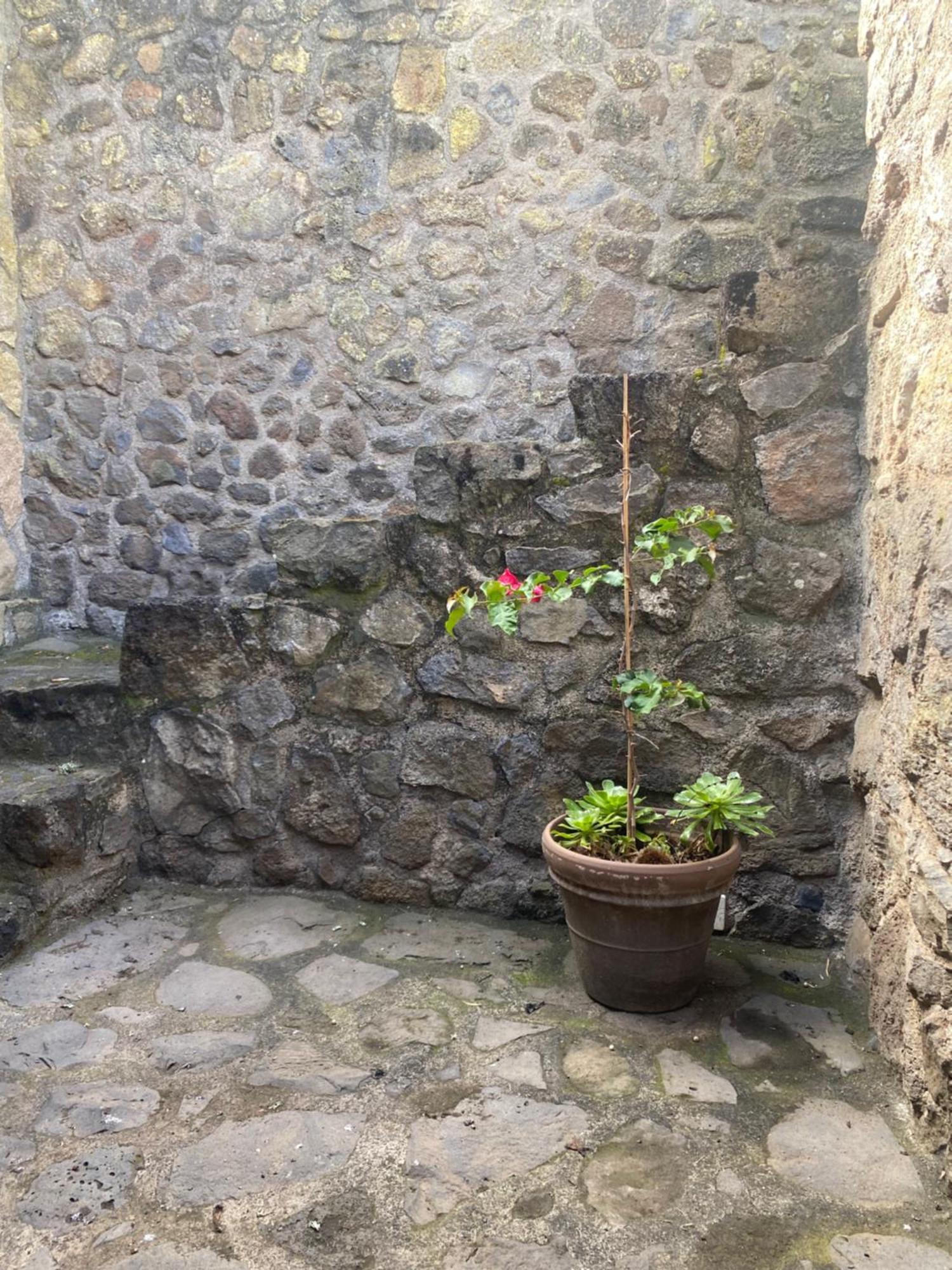 Rural House To Take A Break, La Serreria 25 - Private Garden タコロンテ エクステリア 写真