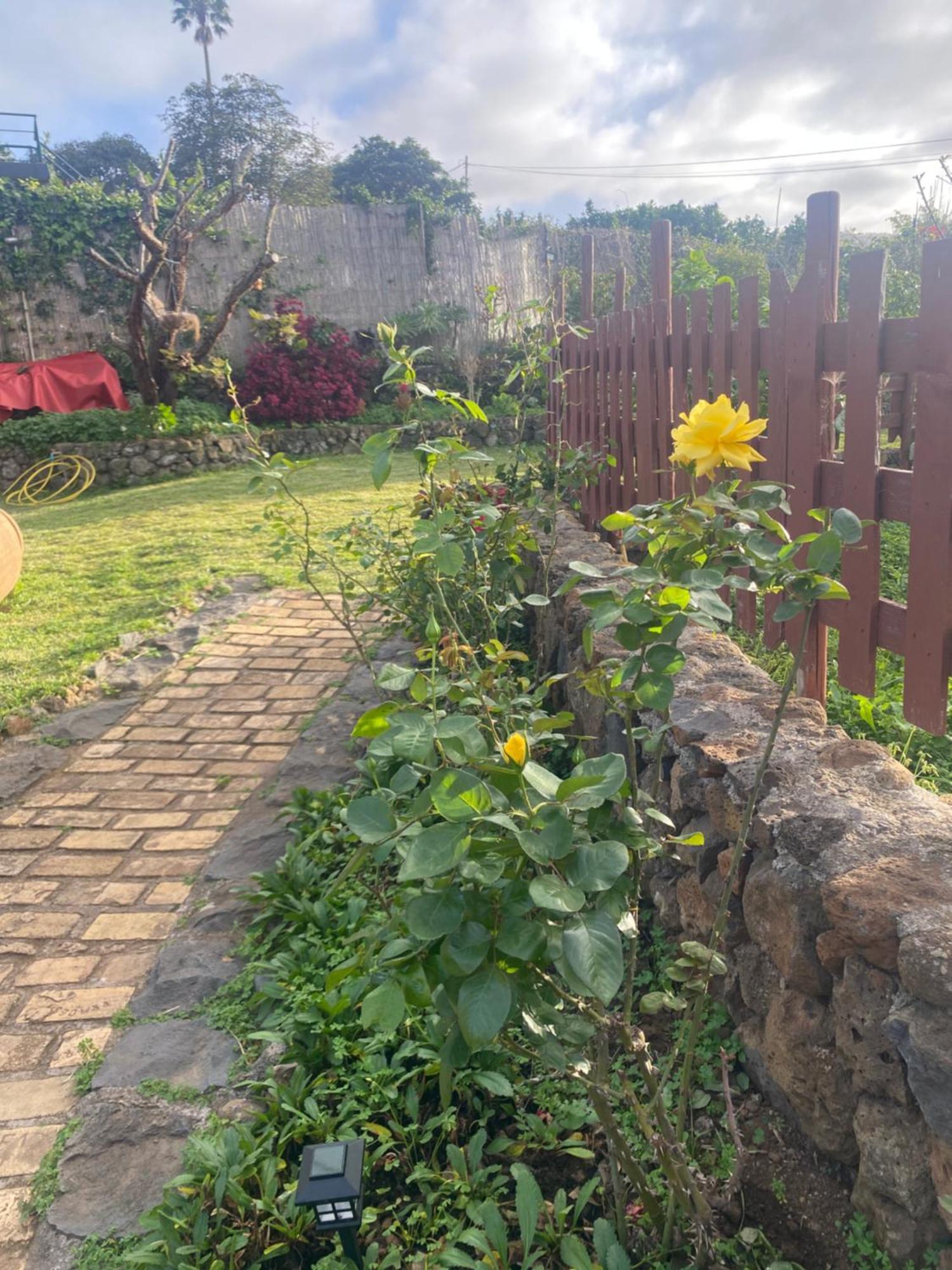 Rural House To Take A Break, La Serreria 25 - Private Garden タコロンテ エクステリア 写真