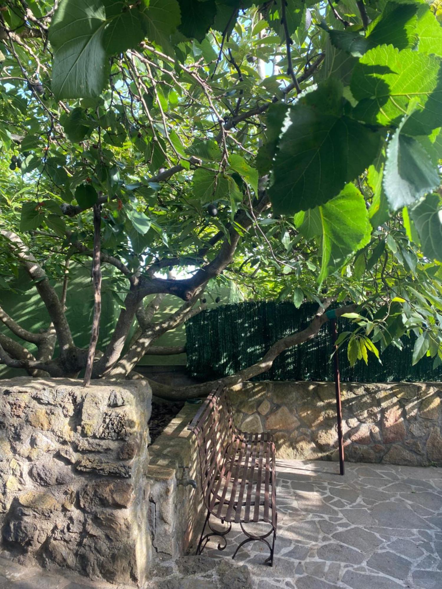 Rural House To Take A Break, La Serreria 25 - Private Garden タコロンテ エクステリア 写真